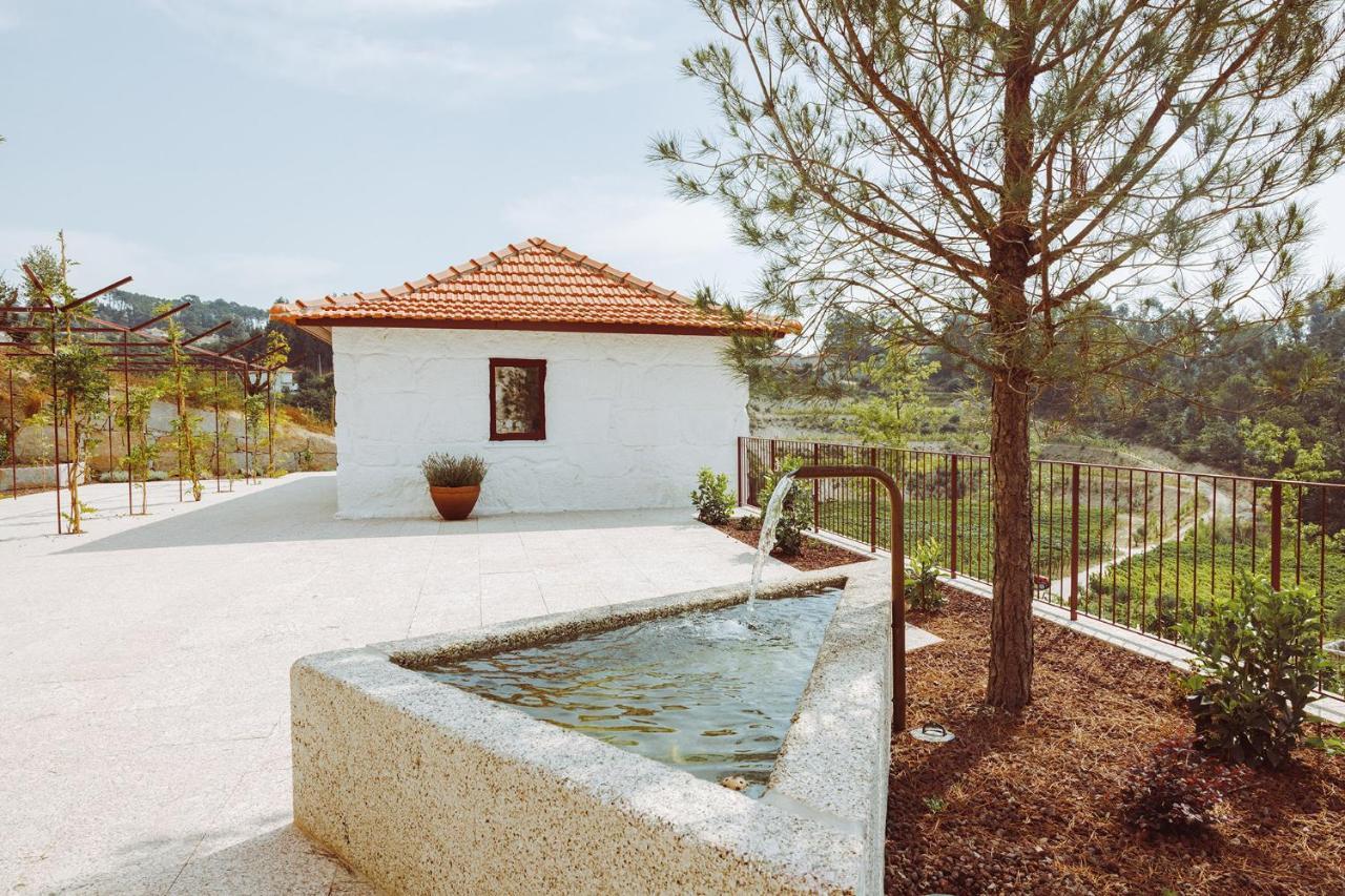 Oliveiras Village — Agroturismo Amarante Exterior photo